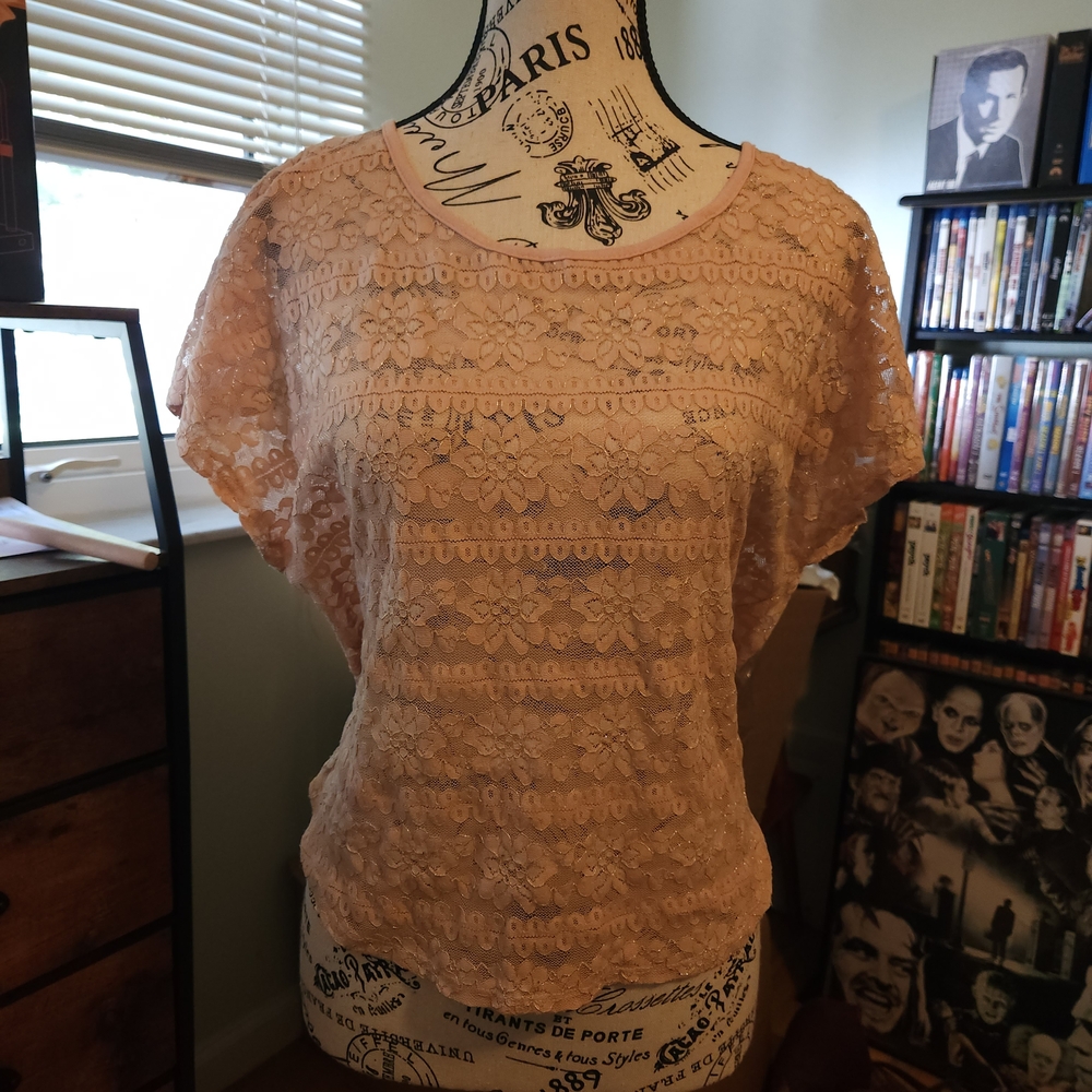 Blush Lace Short Sleeve Blouse